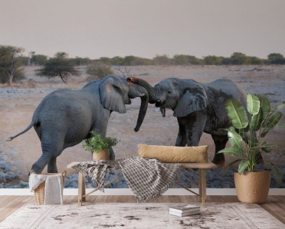 Afbeeldingen van Elefanten Streit Etosha Nationalpark Namibia