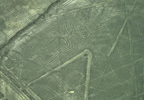 Bild på The Nazca Lines in Peru here you can see the Spider