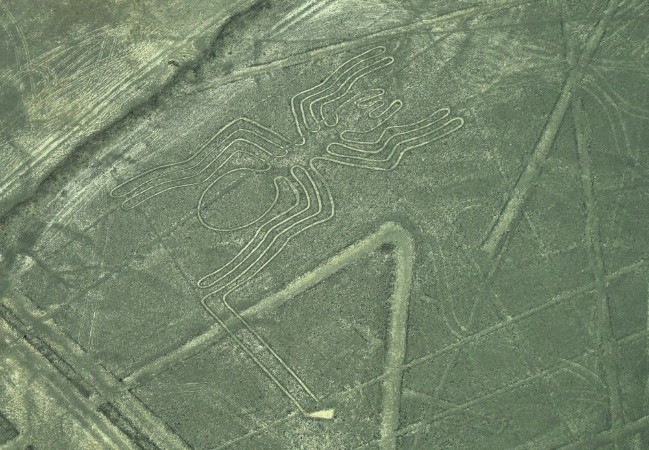 Afbeeldingen van The Nazca Lines in Peru here you can see the Spider