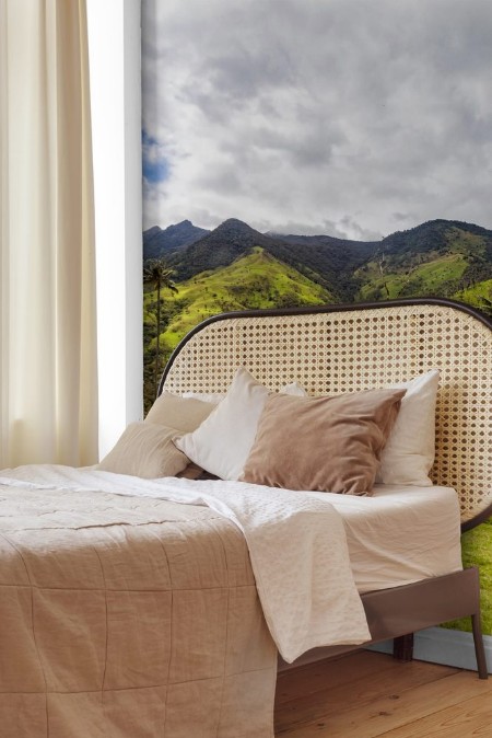 Picture of Dramatic Andean valley with wax palms near Salento Colombia