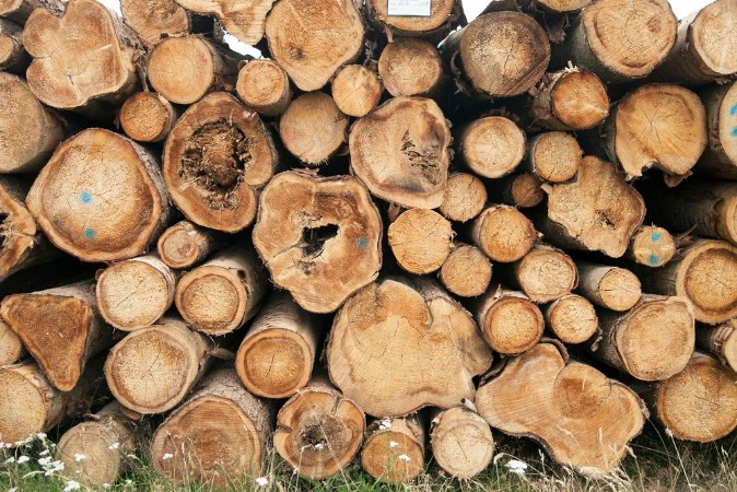 Afbeeldingen van Timber logs