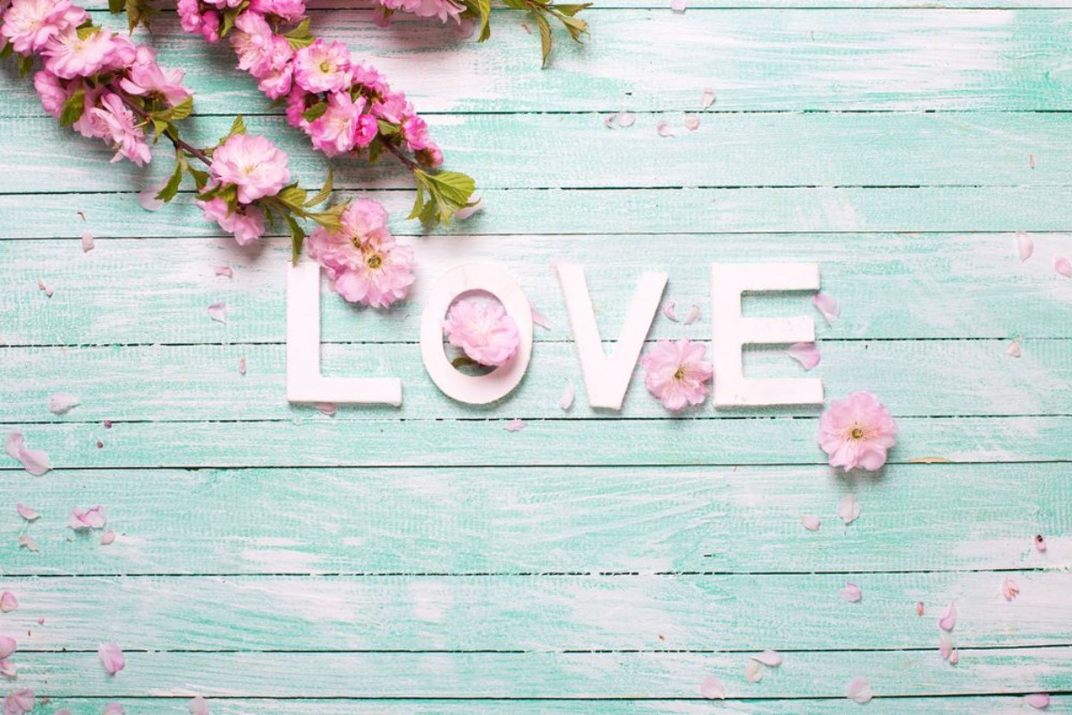 Bild på Word love and  border from pink almond flowers on turquoise wooden background
