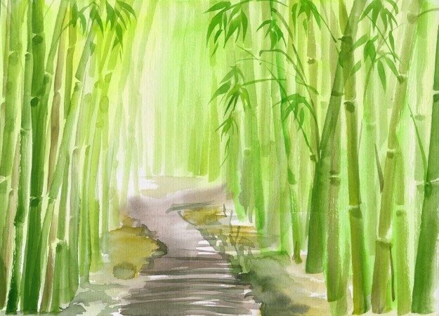 Picture of Single path alley through green bamboo forest