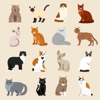 Bild på Cat breeds