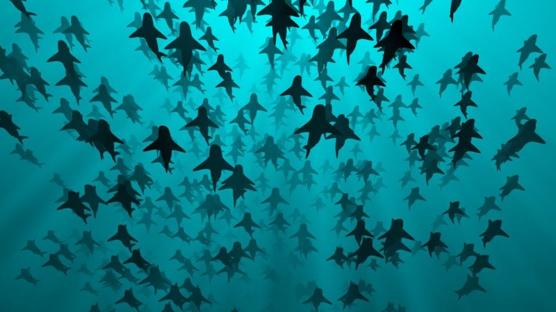 Picture of School of sharks