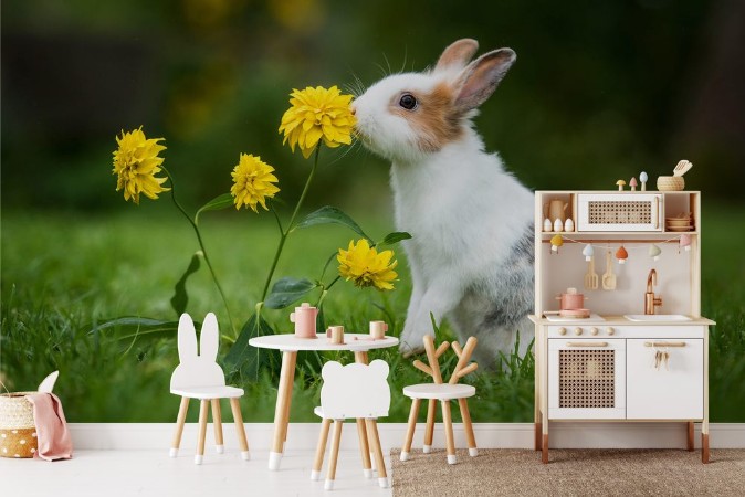 Picture of Little rabbit in the garden