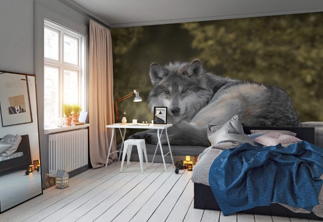 Picture of Resting wolf