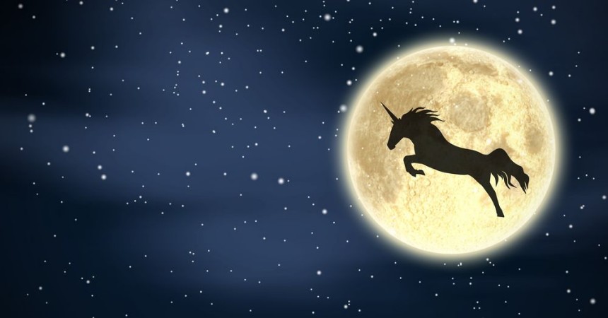 Bild på Unicorn Night