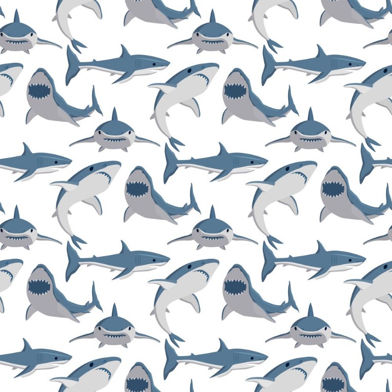 Bild på Shark illustration