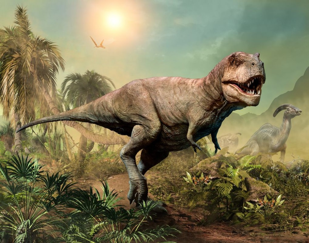 Afbeeldingen van Tyrannosaurus Rex