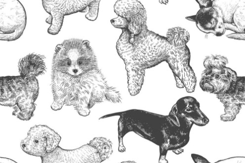 Afbeeldingen van Hand-made dog pattern