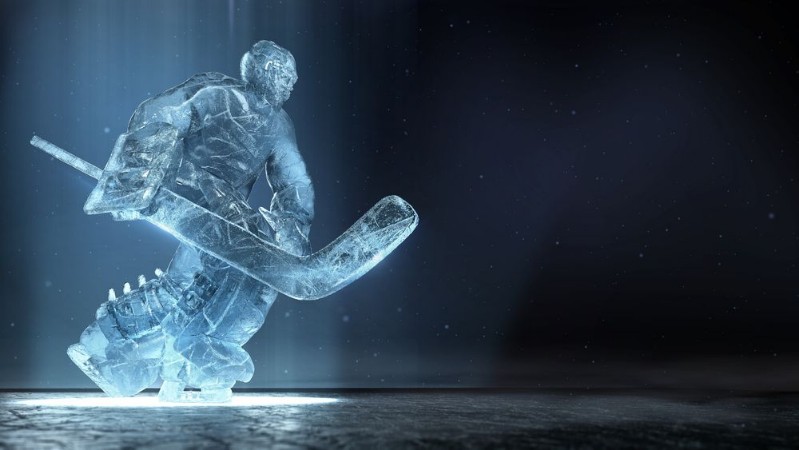 Picture of Ice goalie