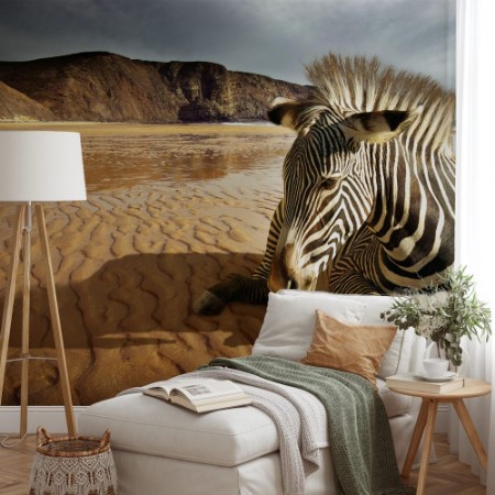 Picture of Beach Zebra