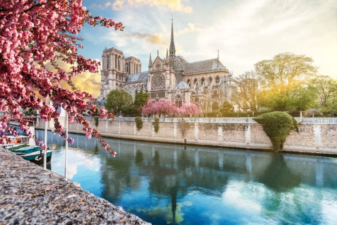 Picture of Notre Dame