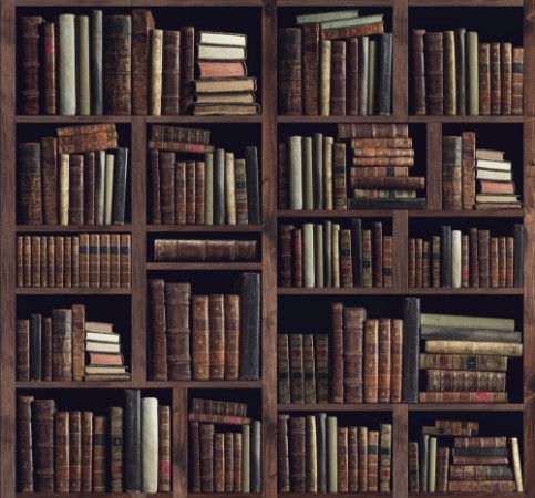 Picture of Ancient books