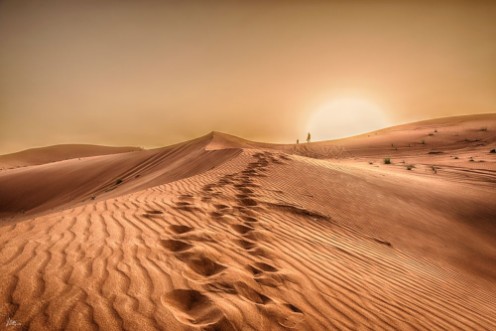 Afbeeldingen van Desert dunes II