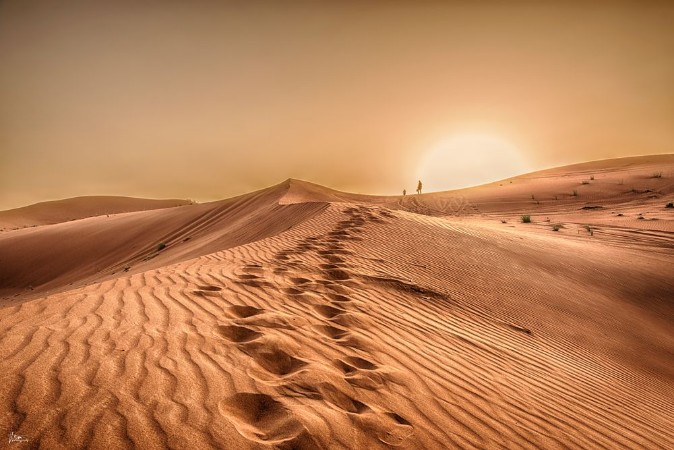 Desert dunes II photowallpaper Scandiwall