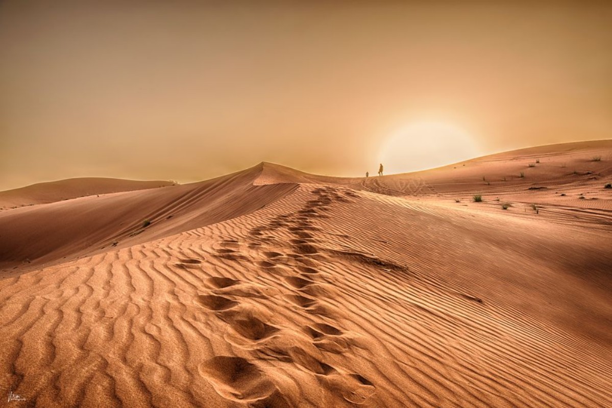 Immagine di Desert dunes II