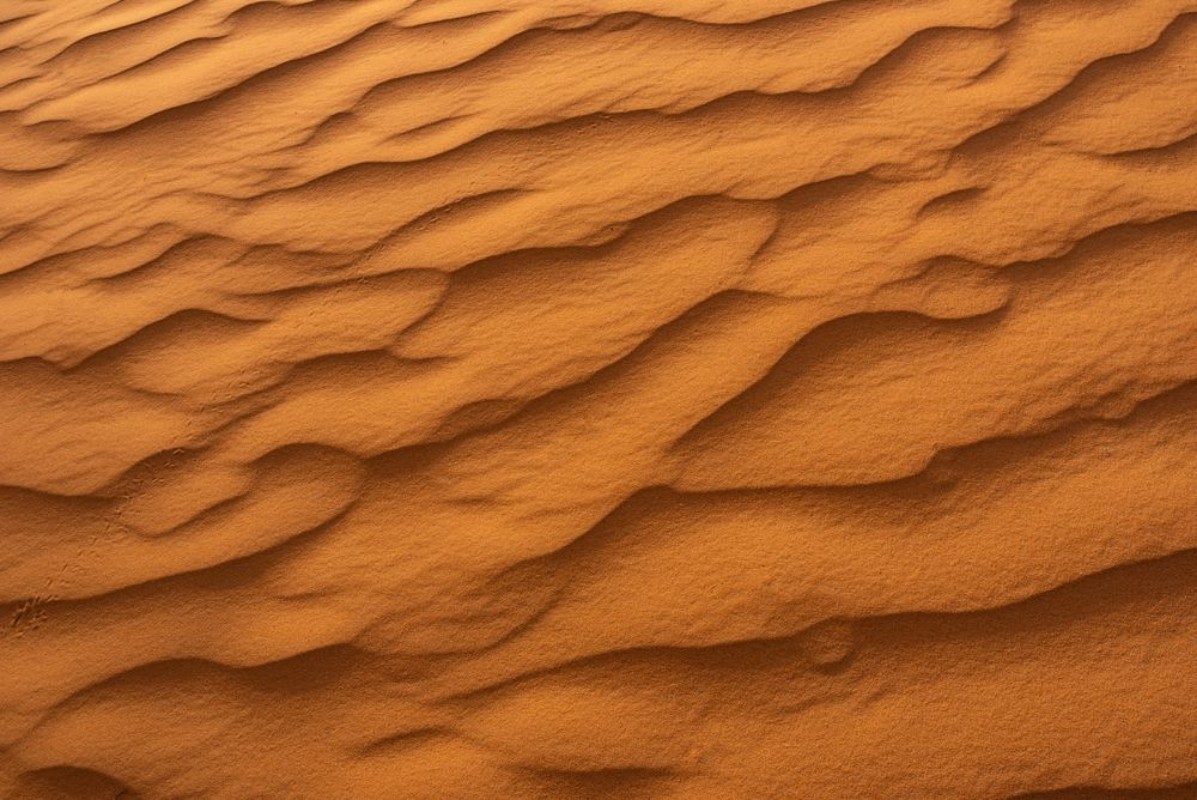 Image de Beautiful sand dunes