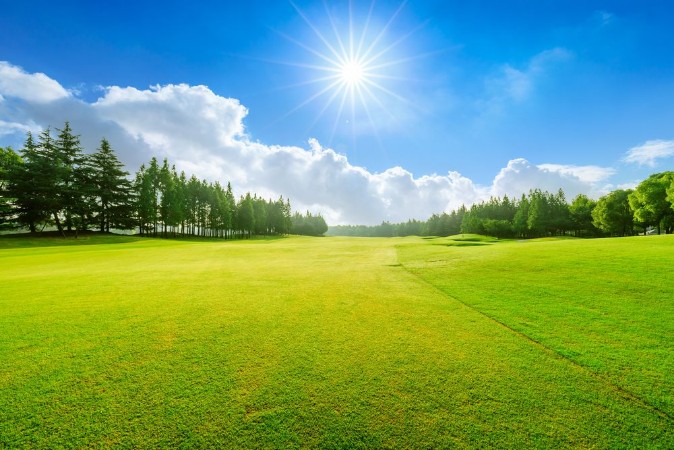 Picture of Summer Golf