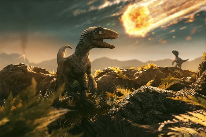 Velociraptor Sees Incoming Asteroid photowallpaper Scandiwall