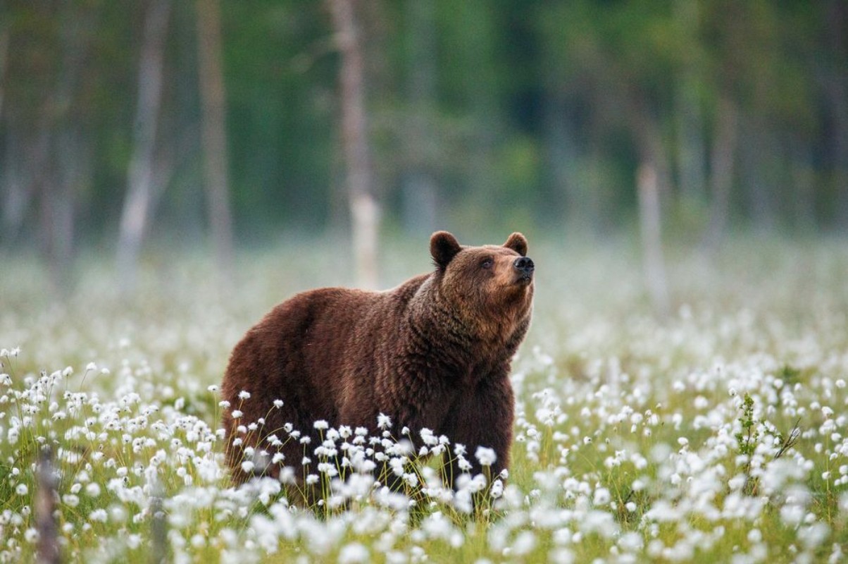 Picture of Summer smell