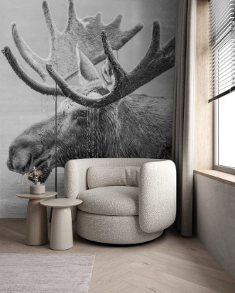 Bild på Black and White Bull Moose