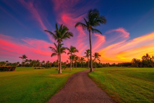 Punta Cana photowallpaper Scandiwall