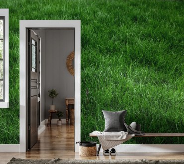 Picture of Natural grass I