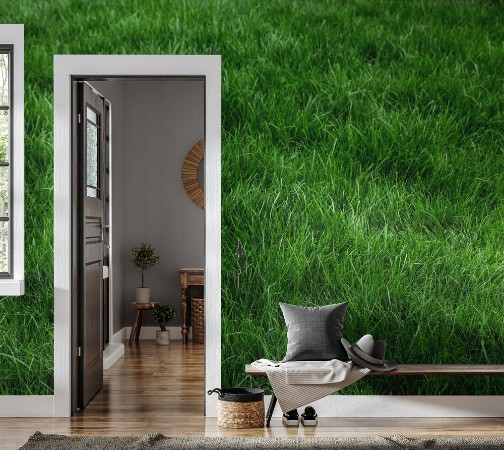 Image de Natural grass I