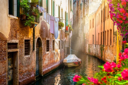 Picture of Flowers in Venice