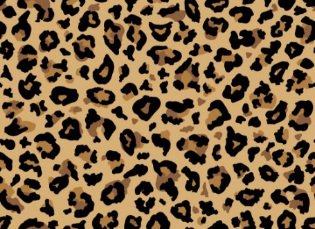 Afbeeldingen van Leopard Fur Pattern