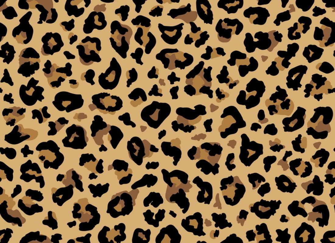 Bild på Leopard Fur Pattern