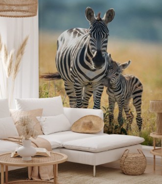 Afbeeldingen van Zebra and Foal