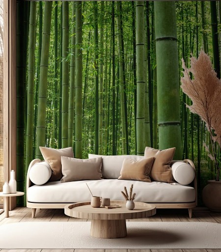 Picture of Arashiyama Bamboo Forest
