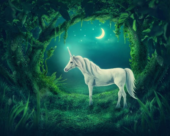 Bild på Shining Unicorn