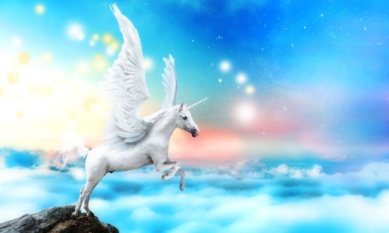 Bild på White Pegasus Unicorn