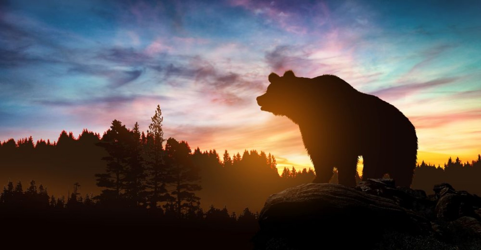 Afbeeldingen van Big bear silhouette