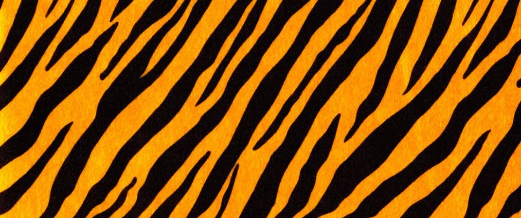 Bild på Tiger skin I