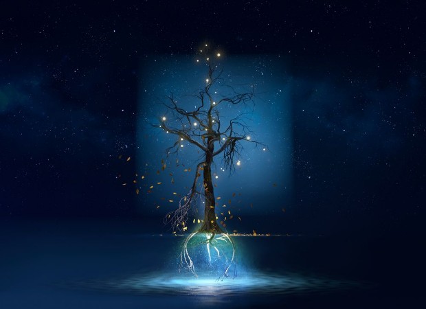 Picture of Floating tree