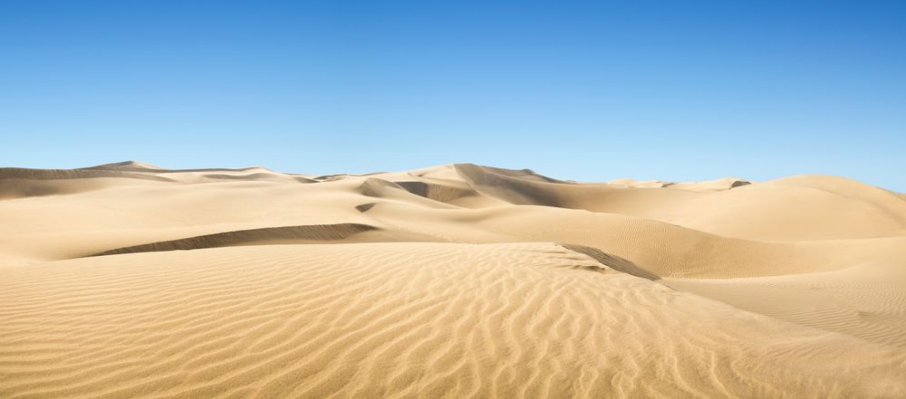 Picture of Gold desert