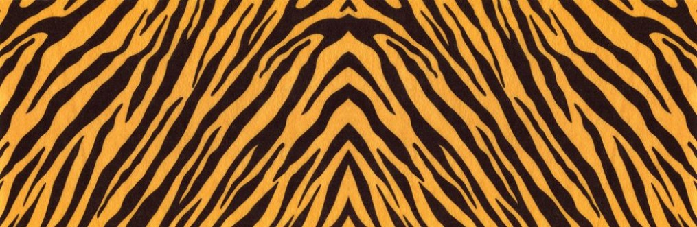 Bild på Tiger skin III
