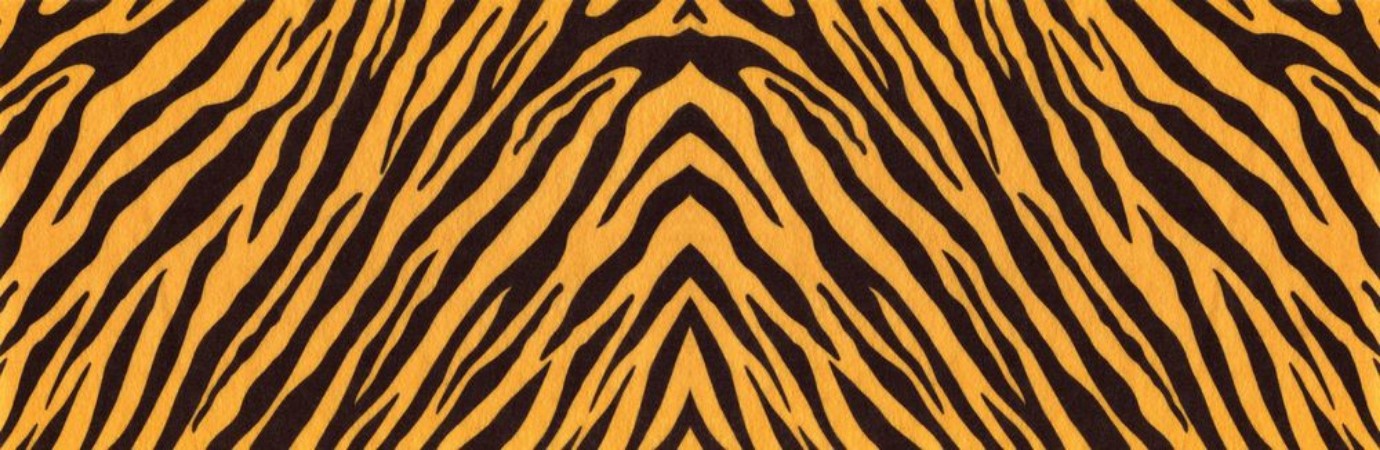 Bild på Tiger skin III