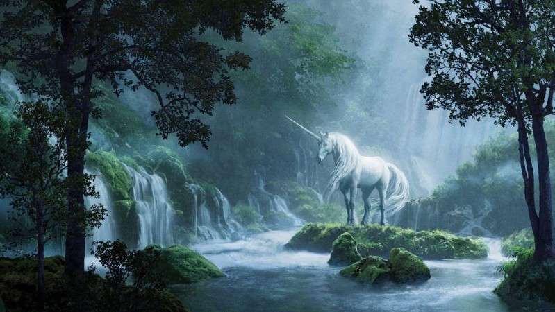 Afbeeldingen van Unicorn in a Magical Forest