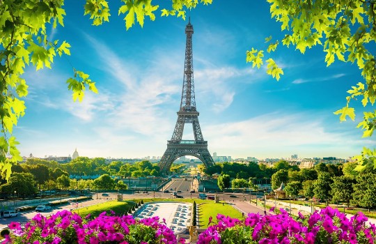 Picture of Spring day in Paris