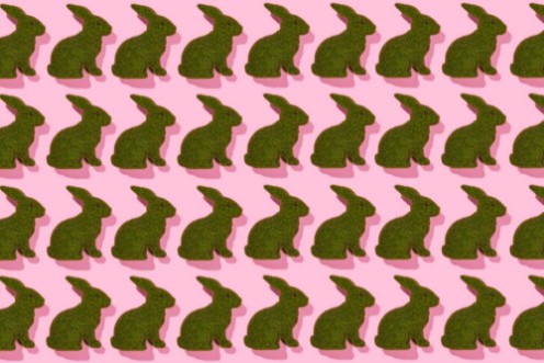 Afbeeldingen van Grass easter rabbits