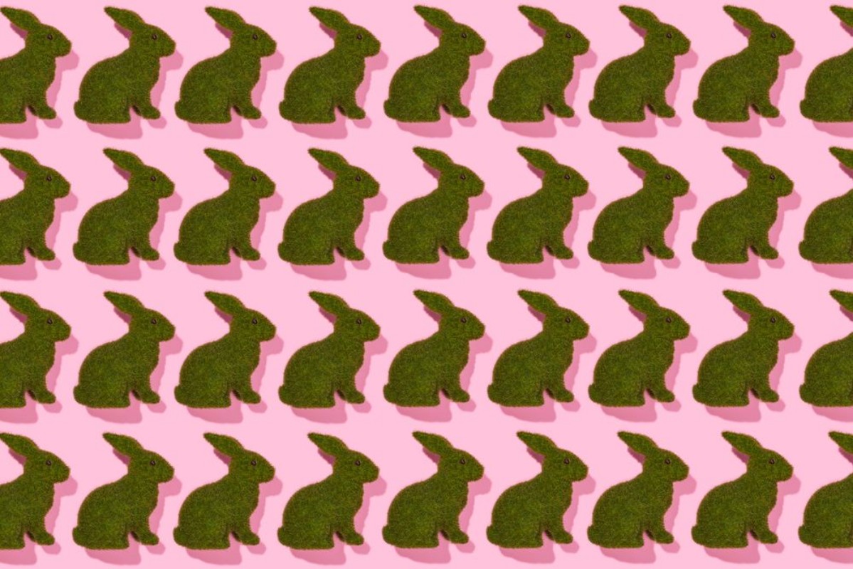 Image de Grass easter rabbits