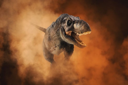 Afbeeldingen van T-rex