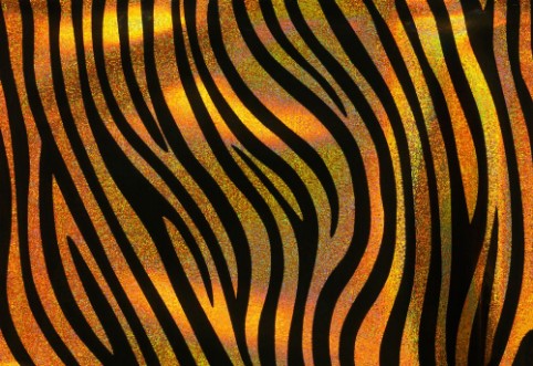 Picture of Tiger skin II