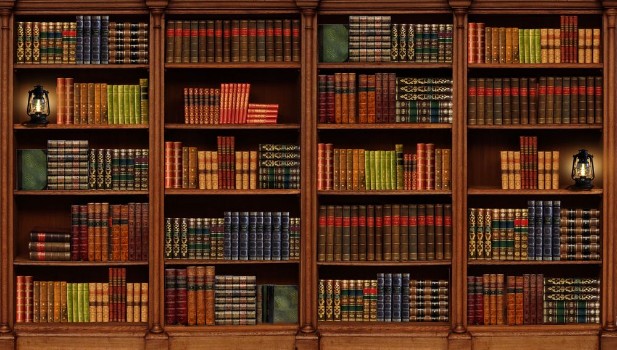 Bild på Shelving with books